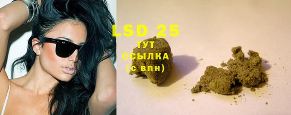 спайс Верея