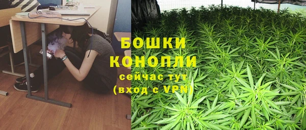 гашик Аркадак