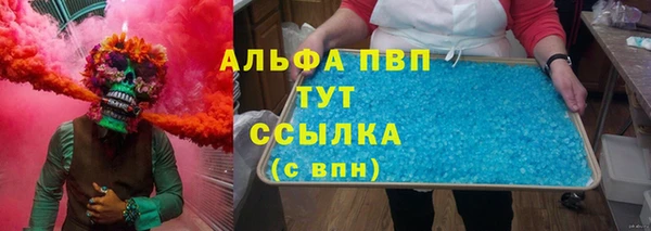гашик Аркадак