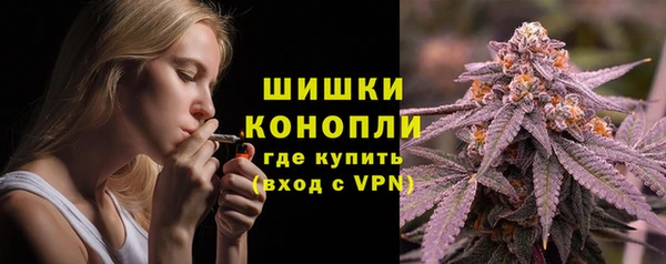 бошки Арсеньев
